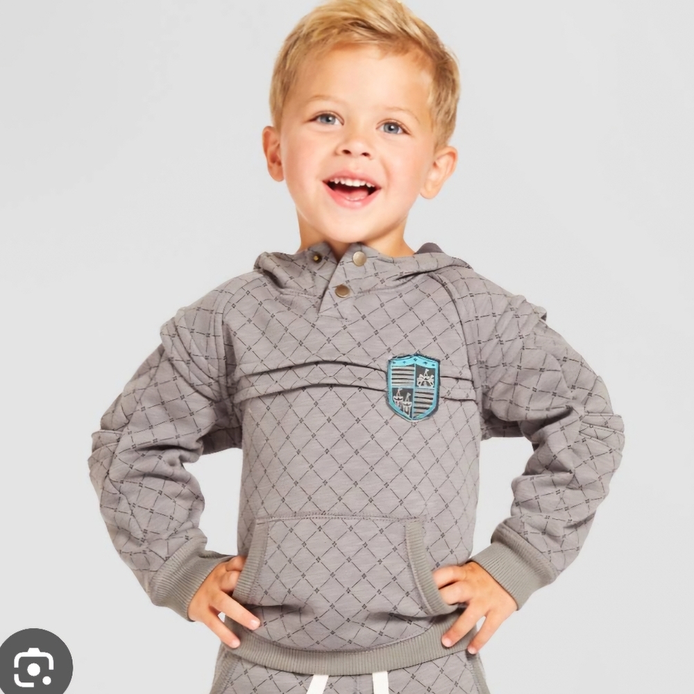 Genuine Kids x Patrica Toth Knight Hoodie Size 2T Color Grey
